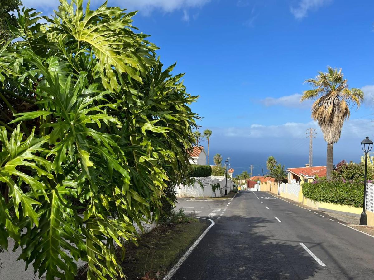 Studio Sea Front View & Pool Apartment Tacoronte Exterior photo